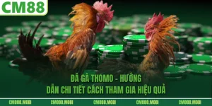 Đá Gà Thomo – Hướng Dẫn Chi Tiết Cách Tham Gia Hiệu Quả